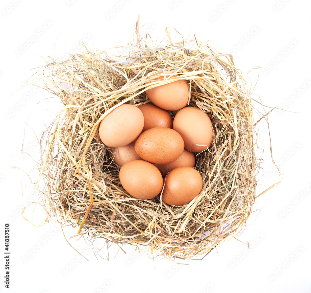 Brown eggs in a nest on a white background Brown eggs in a nest on a white background