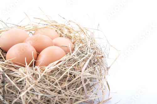 Brown eggs in a nest on a white background
