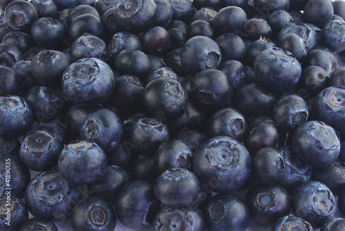 Lots of blueberries