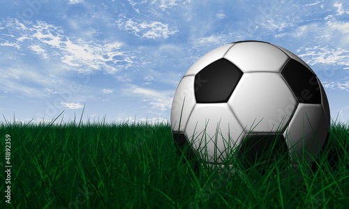 Soccer ball over green grass
