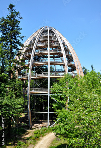 Tree top walk observatory
