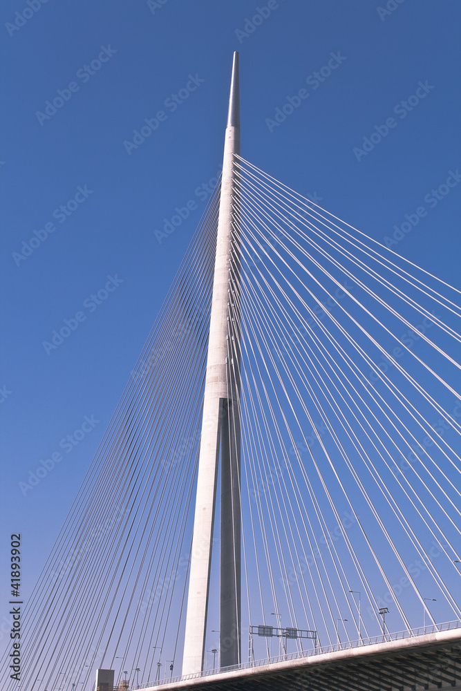 Pylons bridge in Belgrade