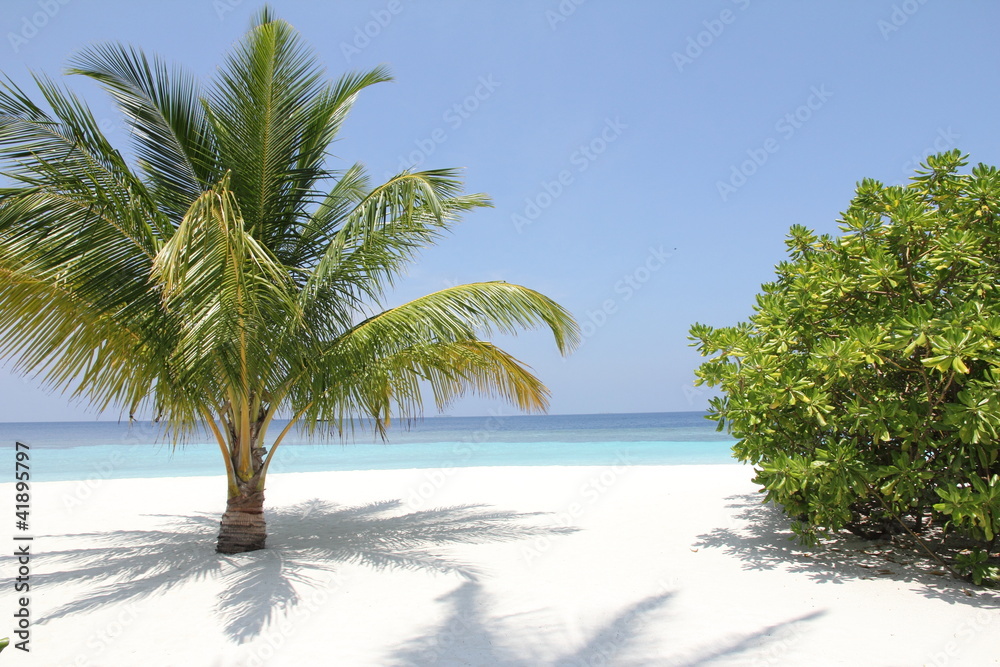 palm beach palm beach