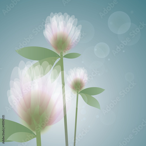 Flower Clover in the morning / Soft floral background