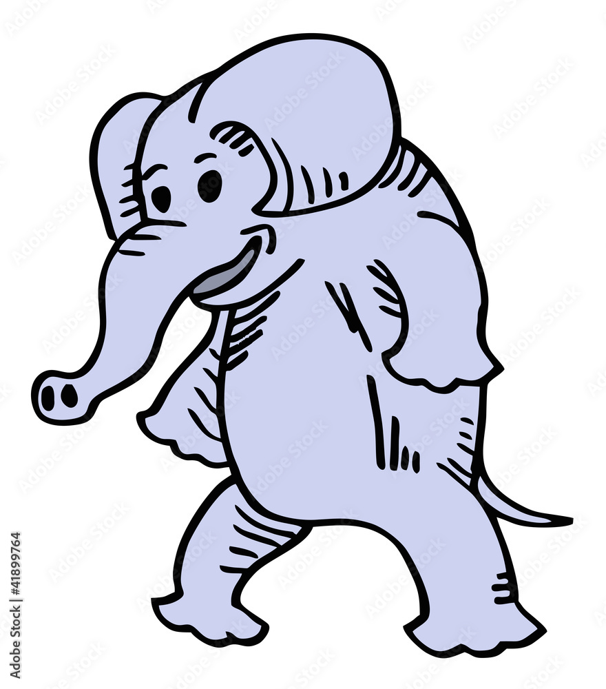 Fototapeta premium Smile elephant