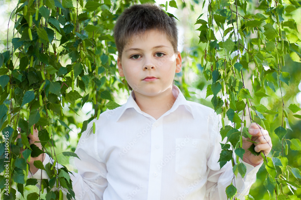 The Boy in the birch forest The Boy in the birch forest