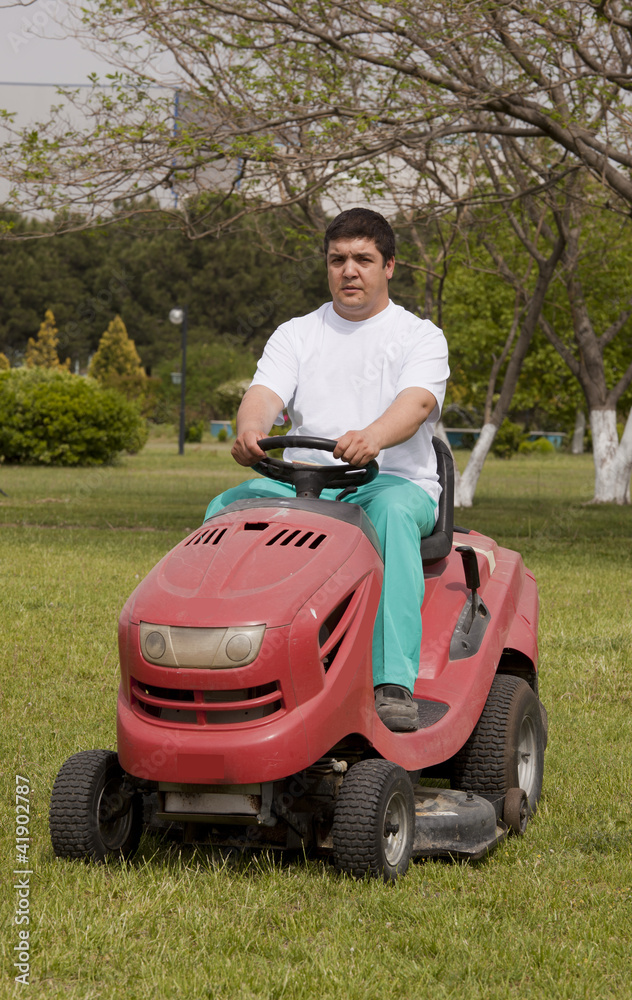 Fototapeta premium Ride-on lawn mower cutting grass