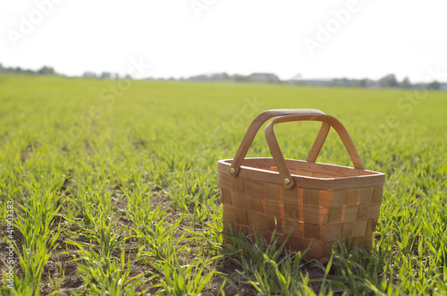 basket on a field