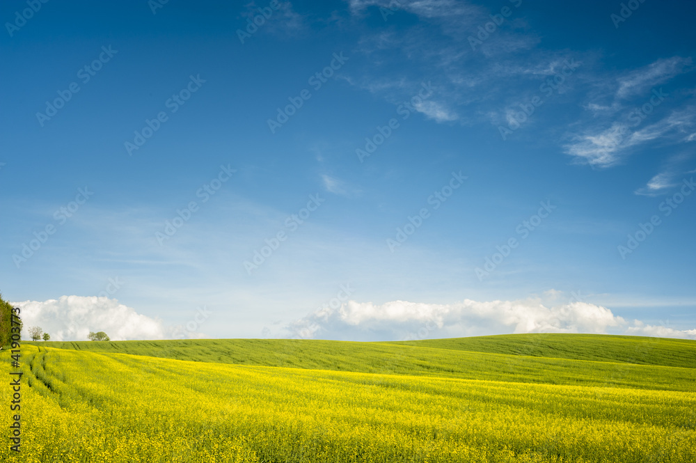 Horizon with yellow field