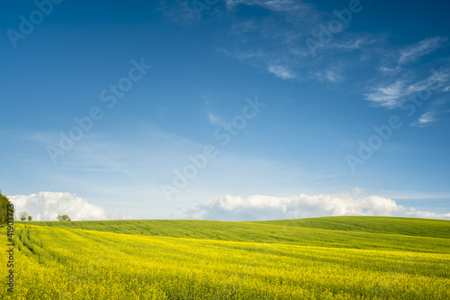 Horizon with yellow field