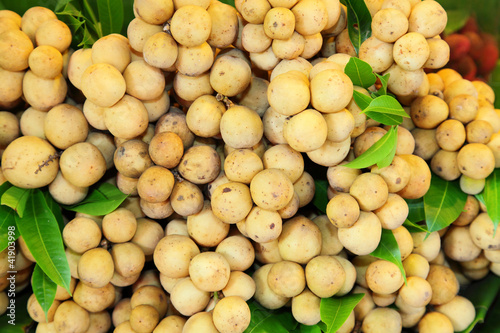 Fresh Lansium domesticum (Longkong) in Thailand