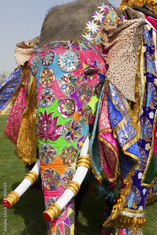 Decorated elephant at annual elephant festival, Jaipur, India.