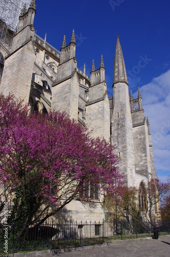 Cathédrale de Bourges photo