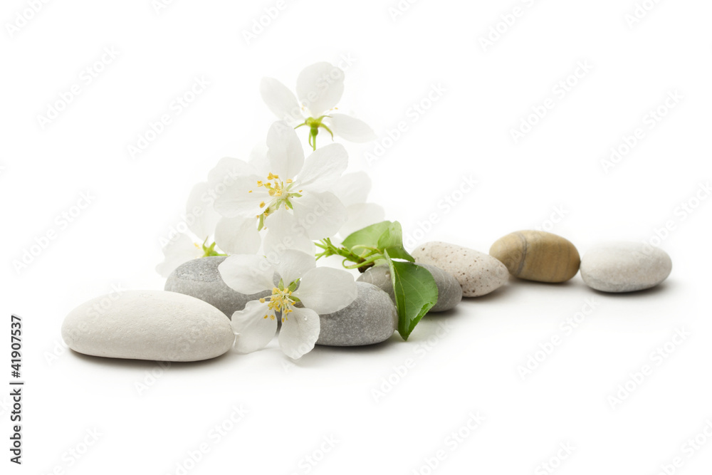 Apple tree flowers and stones Apple tree flowers and stones