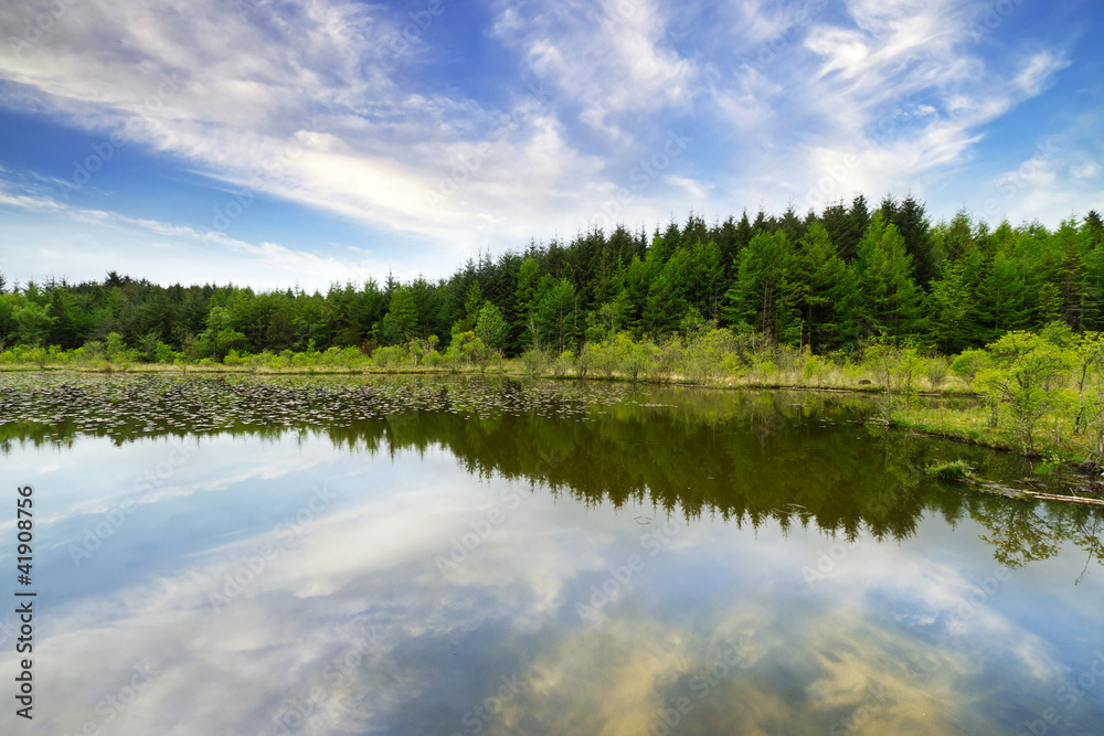 Beautiful Irish forest reflected in the lake