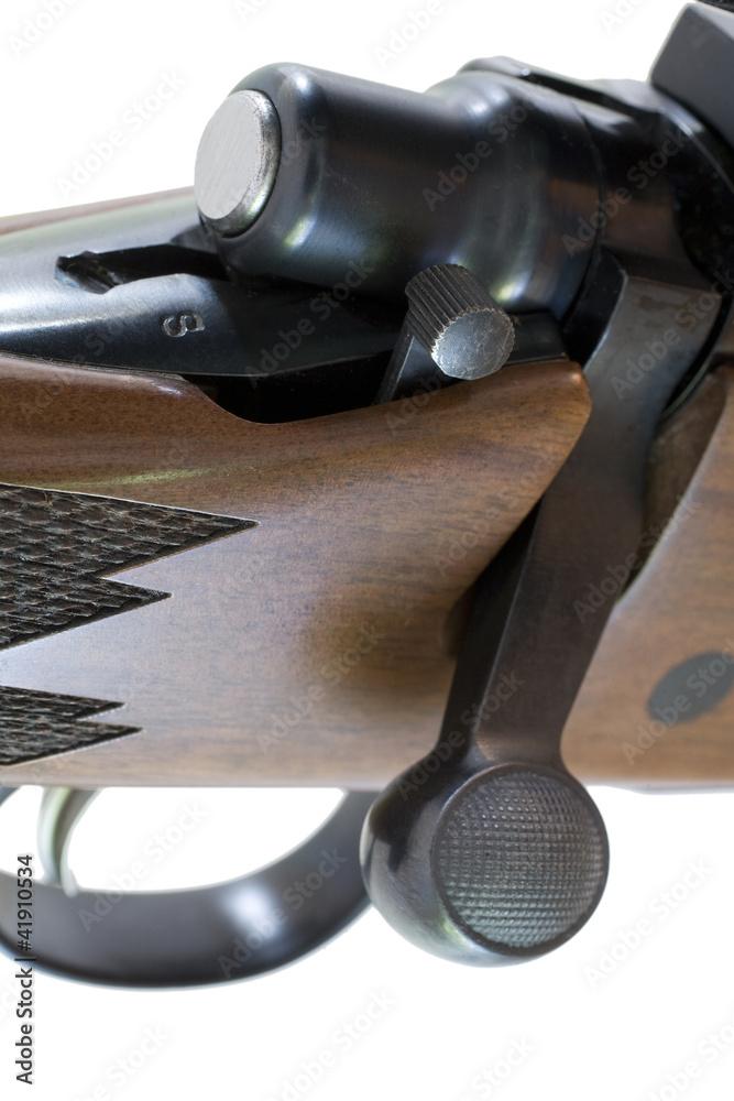 Obraz premium Ready to fire