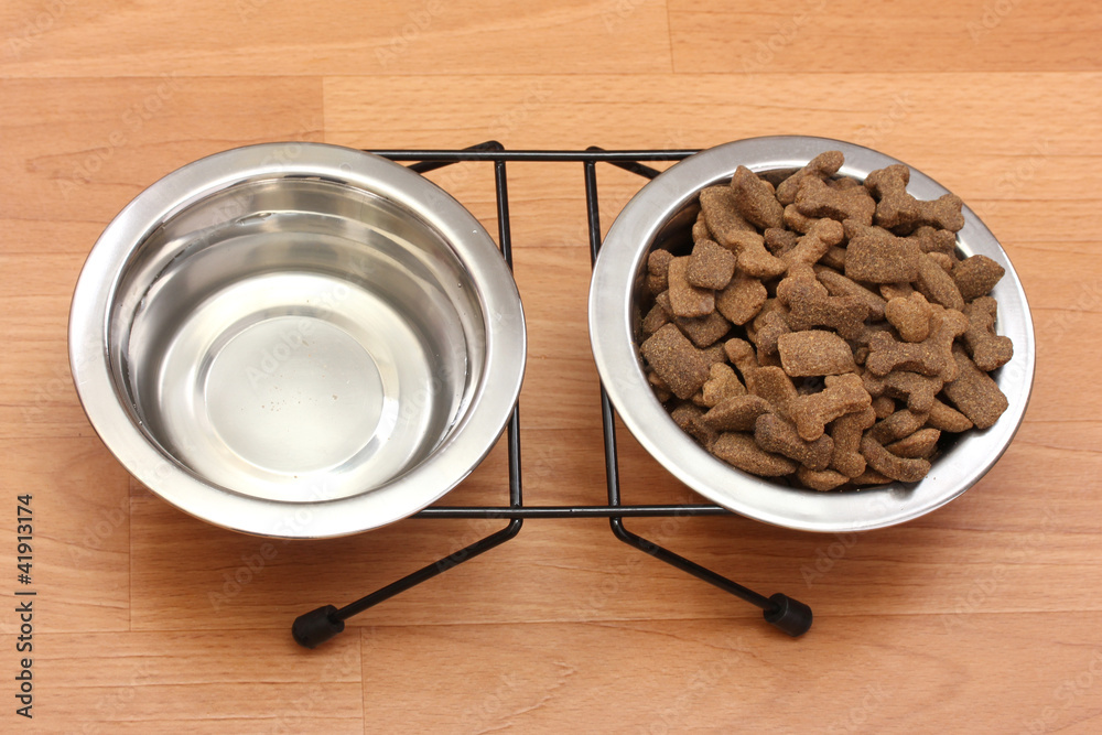 dry dog food and water in metal bowls on the floor dry dog food and water in metal bowls on the floor