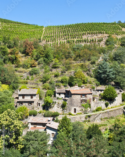 Terraced Vineyards of Malevall France photo