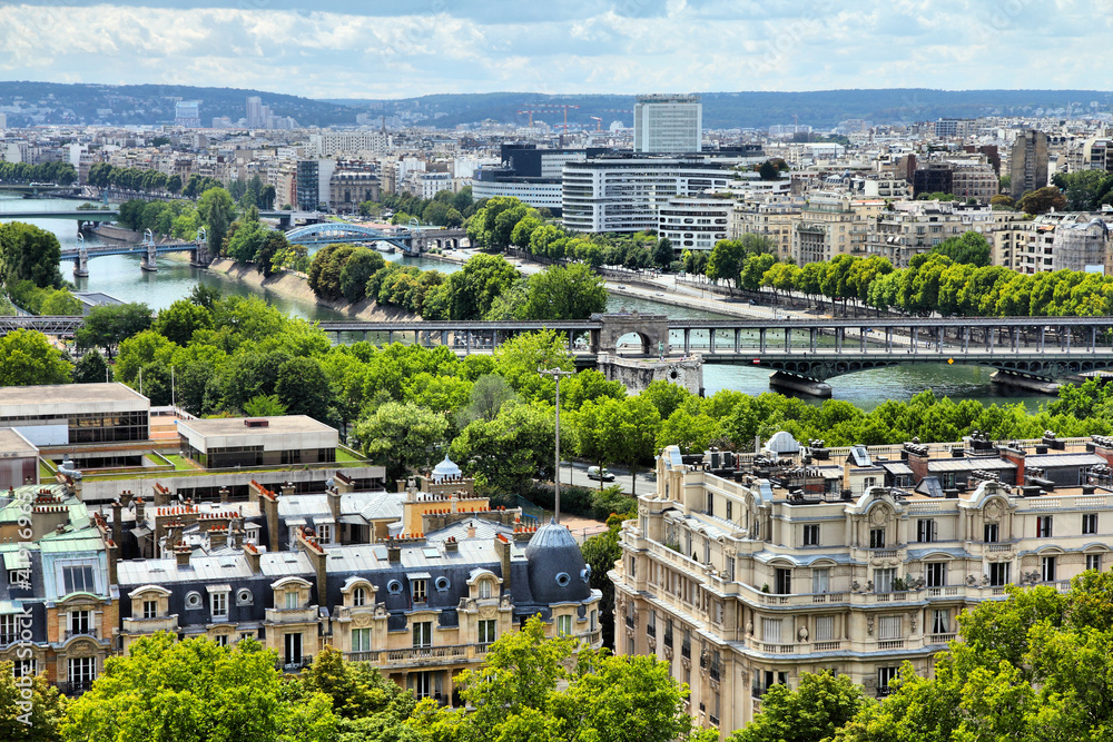 Fototapeta premium Paris - Seine river