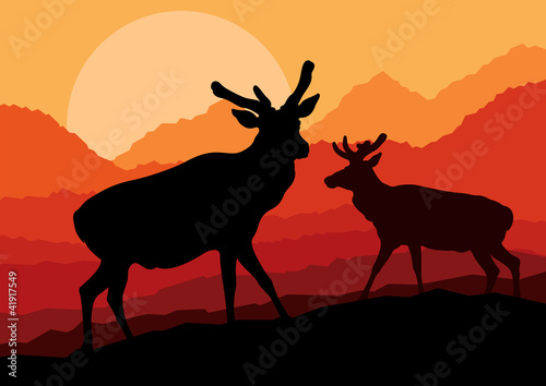 Deer family couple silhouettes in wild mountain nature landscape © kstudija