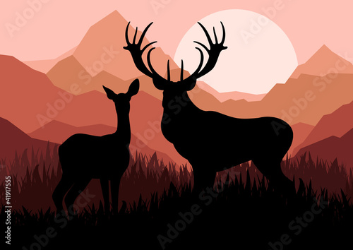 Deer family couple silhouettes in wild mountain nature landscape