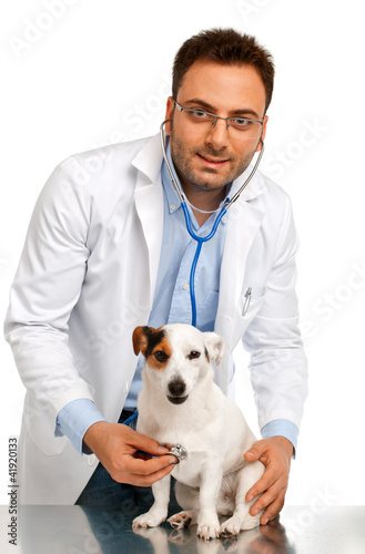 Fototapeta Naklejka Na Ścianę i Meble -  Visita veterinaria