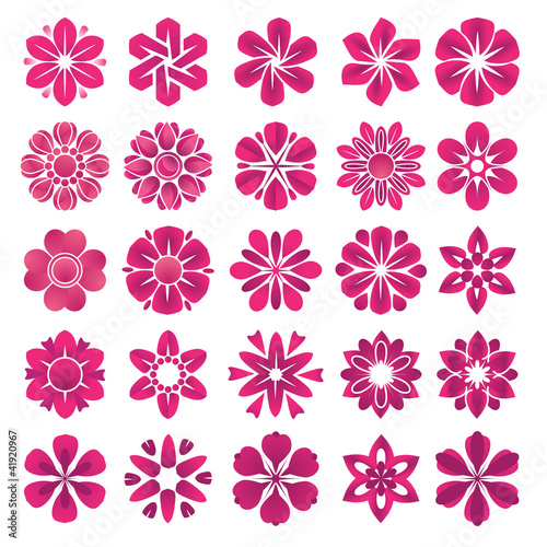 Set of vector flower icons and elements © PureSolution
