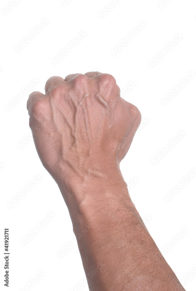 fist