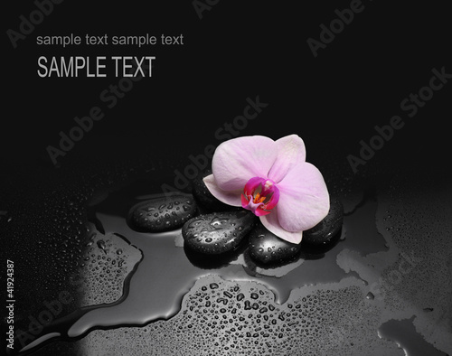 Fototapeta Naklejka Na Ścianę i Meble -  black stones and orchid with water drops