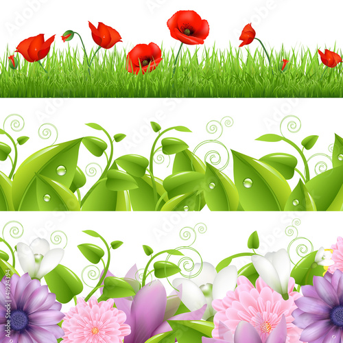 Fototapeta Naklejka Na Ścianę i Meble -  Borders With Flowers And Grass