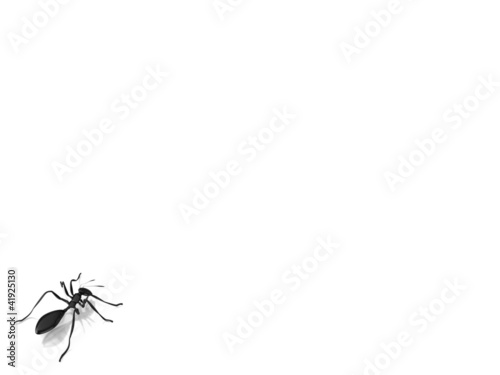 3d black ant