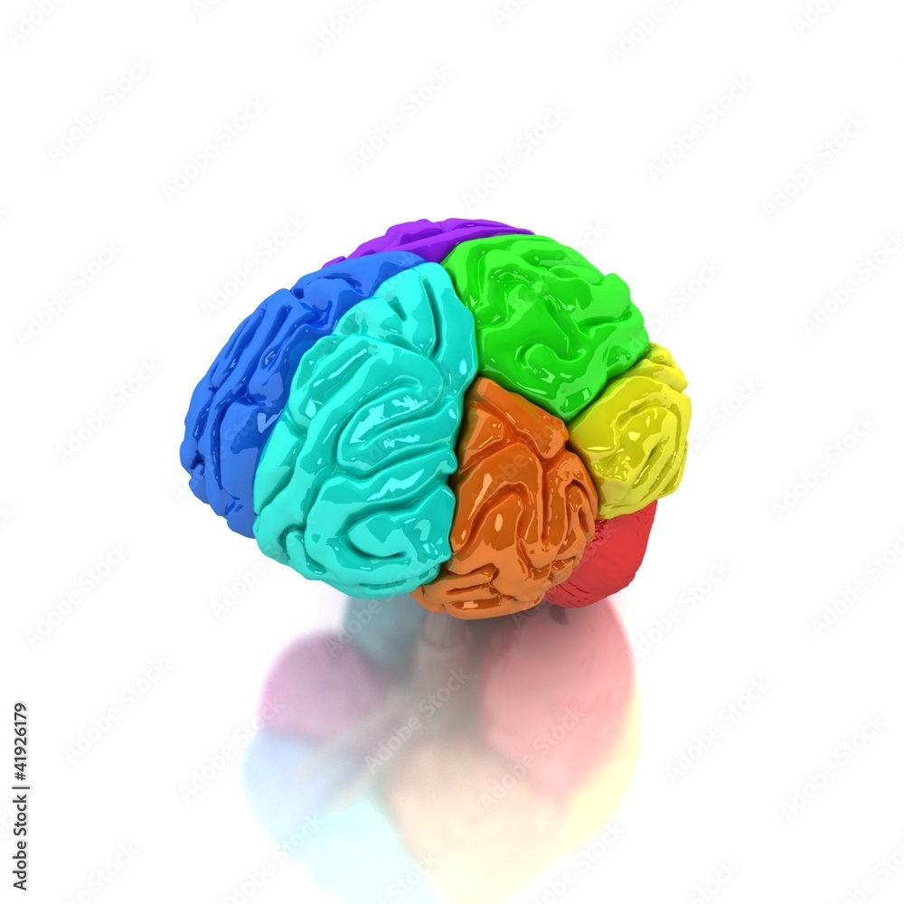 Human brain Human brain