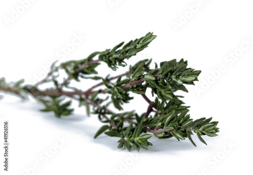 fresh green thyme isolated on white