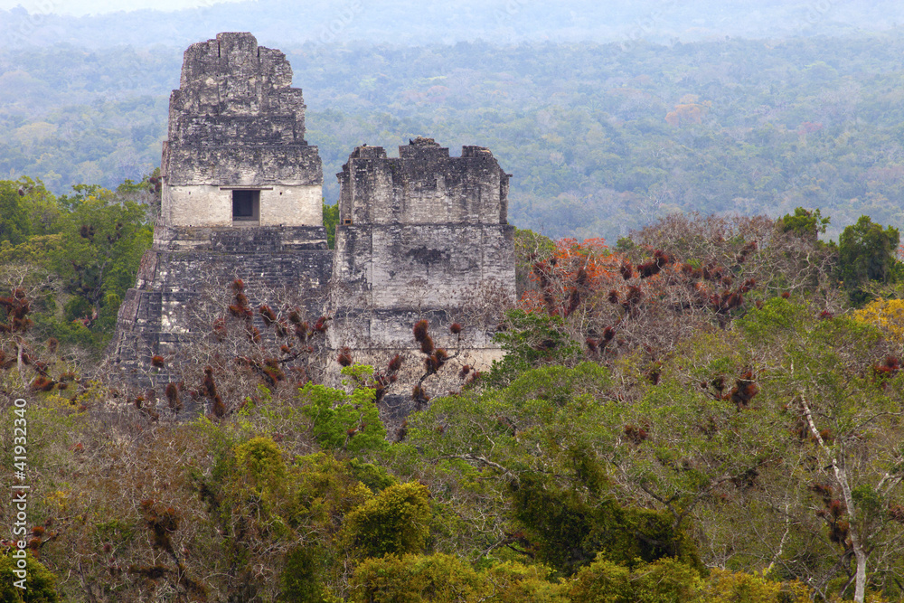 ancient mayan ruins in jungle Tikal