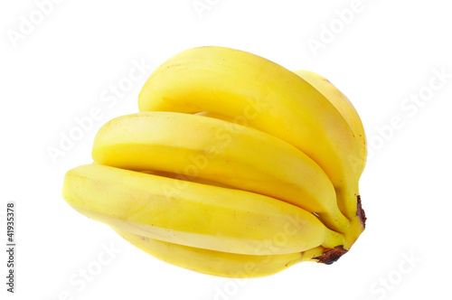 Branch fresh bananas