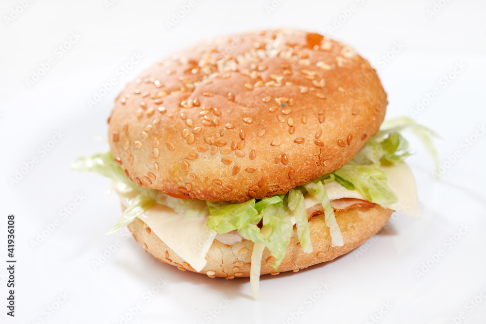 cheeseburger on the white plate cheeseburger on the white plate
