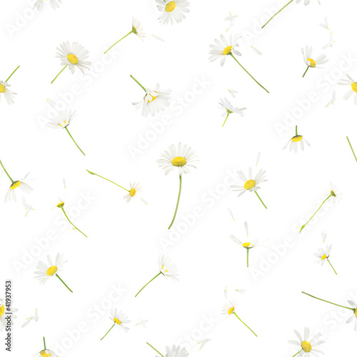 Fototapeta Naklejka Na Ścianę i Meble -  Seamless daisies
