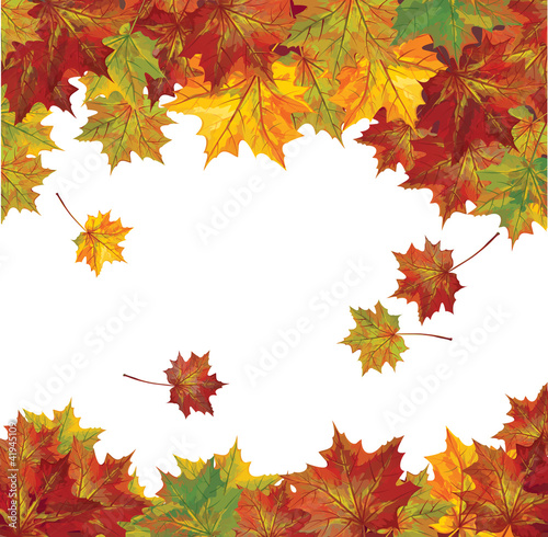 Vector of autumn  colorful leaves.