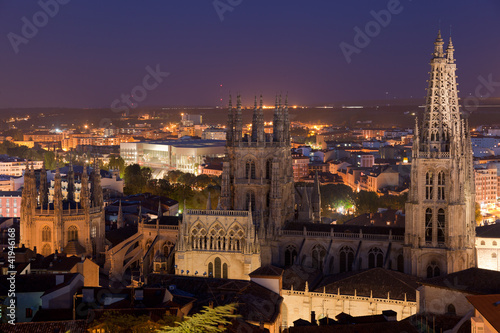 Catedral de Burgos de noche, Burgos, Castilla y Leon, España