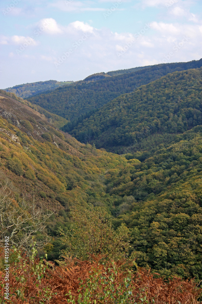 Fototapeta premium Teign Valley, Devon