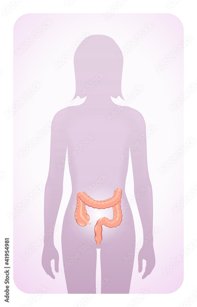colon highlighted on the silhouette of a woman