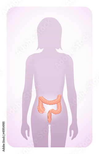 colon highlighted on the silhouette of a woman