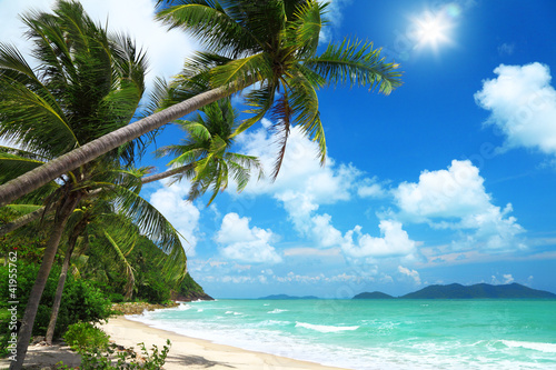 Fototapeta Naklejka Na Ścianę i Meble -  Coconut palms and beach in Thailand