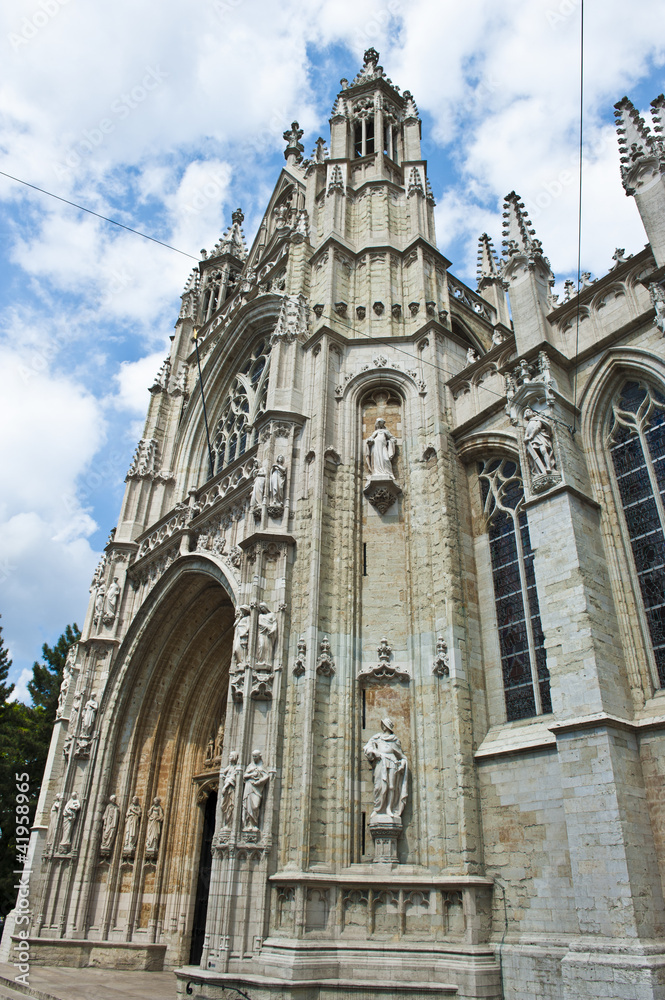 Fototapeta premium Notre Dame Cathedral Brussels