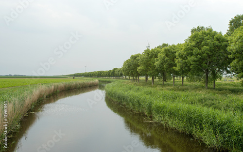 Canal and trees in spring