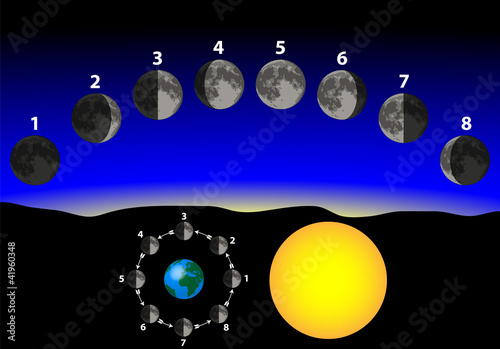 phases of the moon