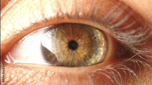 Closeup human eye iris contracting