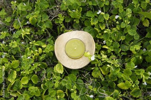 candle in wooden bowl with Green Grass