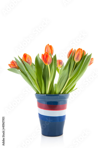 Dutch flowers