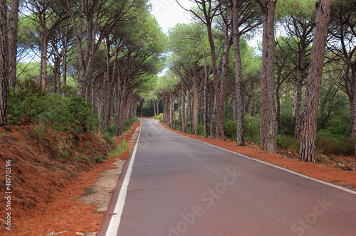 caprera-strada che porta alla casa museo di giuseppe garibaldi photo